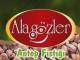 Alagözler