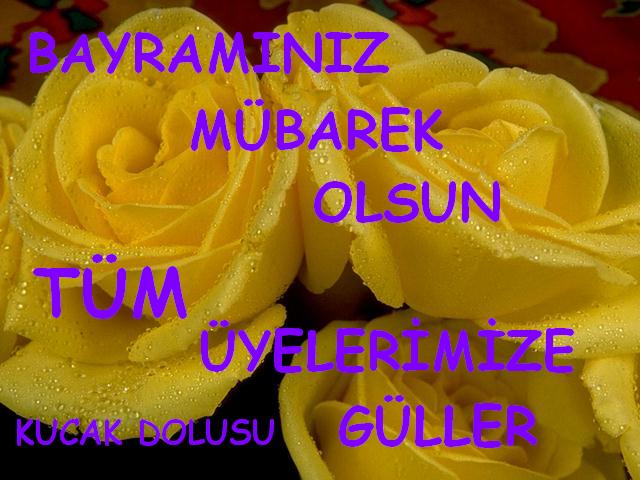 3 Gül --> 3 Üye