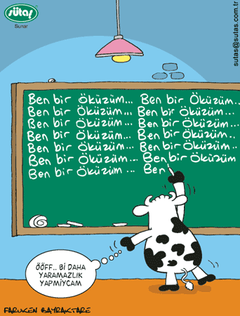 Nizipli Hanımlar Burada