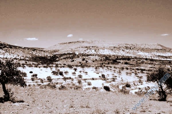 Köylerimizden Fotoğraflar