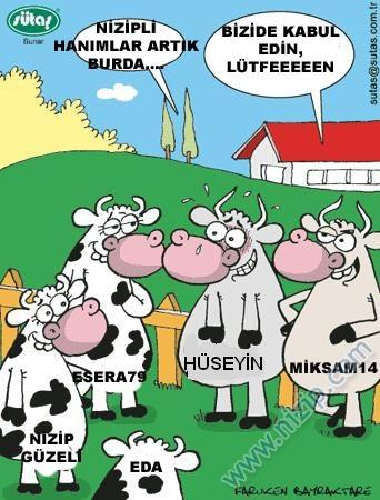 Nizipli Hanımlar Burada