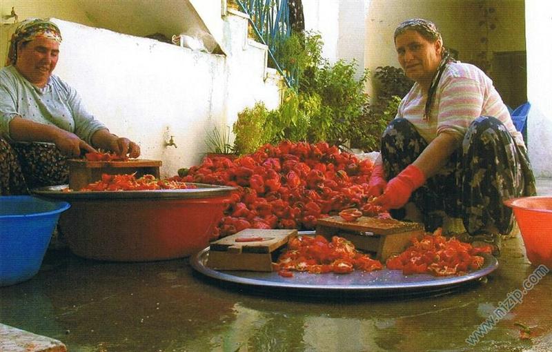 Nizipte Salçalik Biber Fiyatlari Düştü