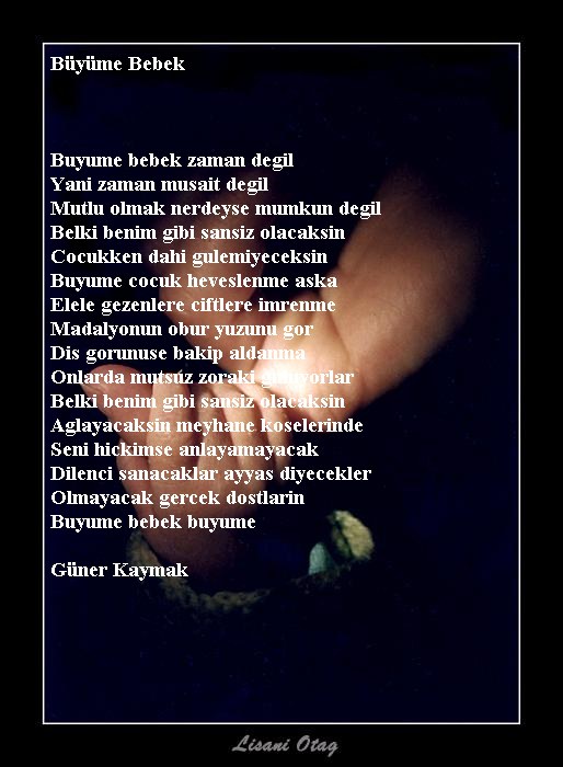 ŞİİR SEVER NİZİPLİLER BURAYA...