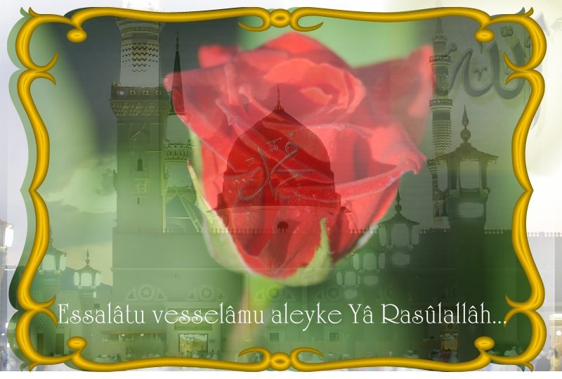 3 Gül --> 3 Üye