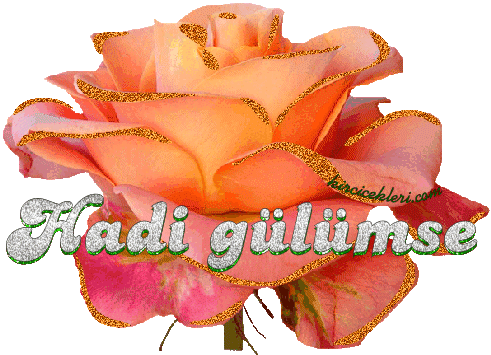 3 Gül --> 3 Üye 3 Gül --> 3 Üye