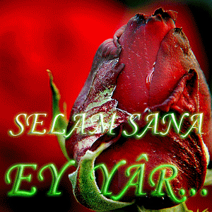 ILGINÇ BULDUGUNUZ FOTOGRAFLAR VE VİDEOLAR BURAYA:)
