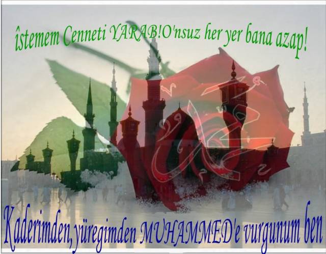 3 Gül --> 3 Üye