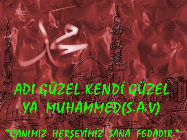 3 Gül --> 3 Üye