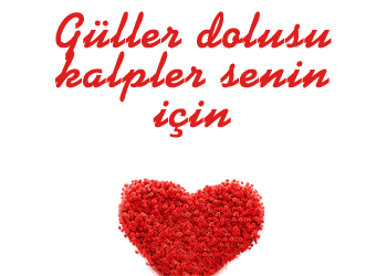 3 Gül --> 3 Üye 3 Gül --> 3 Üye