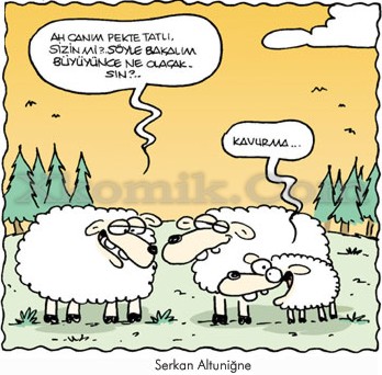 ADINIZ NEDİR HANFENDİ