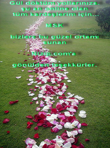 3 Gül --> 3 Üye