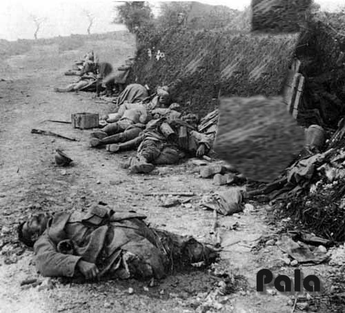 çanakkale Savaşı Resimleri