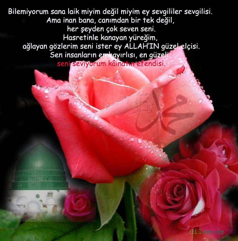 Bir Gün Peygamber Ziyaretinize Gelse