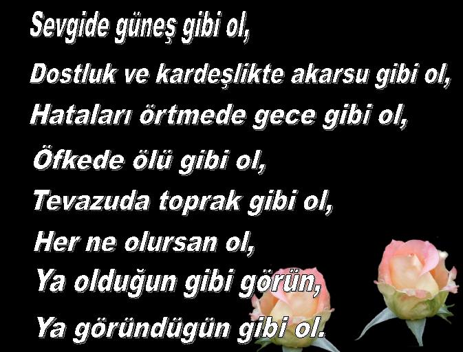 arkadaşlar sevdiğinizi düşündüğünüz zaman aklınıza gelen sözleri buraya yazın...