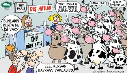 Sütaş karikatürleri Nizip.com'da Olursa.