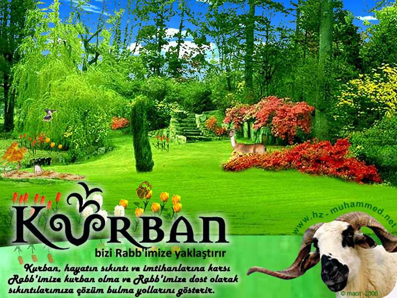 Kurban Bayramınız Mübarek olsun