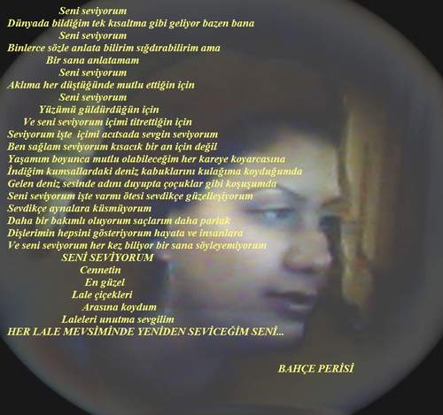 ŞİİR SEVER NİZİPLİLER BURAYA...