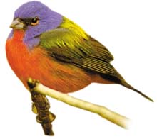 İlginç ve Paylaşmak İstediğiniz Bilgiler Buraya