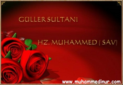 3 Gül --> 3 Üye 3 Gül --> 3 Üye