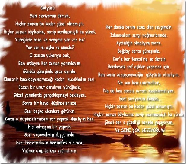 ŞİİR SEVER NİZİPLİLER BURAYA...