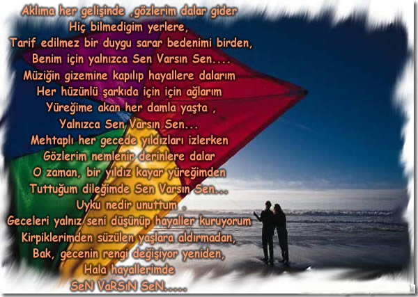 ŞİİR SEVER NİZİPLİLER BURAYA...