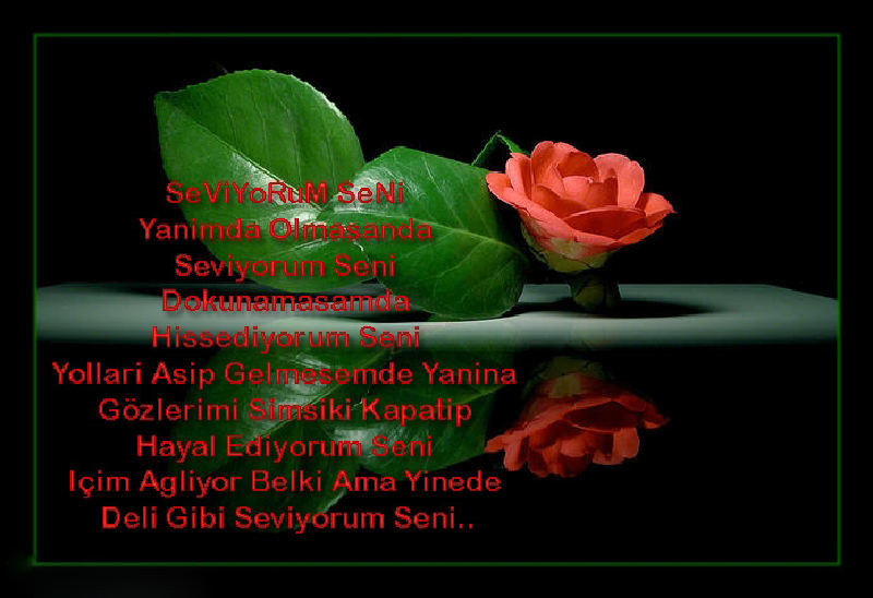 ŞİİR SEVER NİZİPLİLER BURAYA...