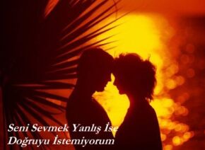 ŞİİR SEVER NİZİPLİLER BURAYA...