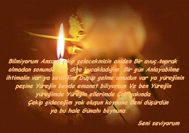 ŞİİR SEVER NİZİPLİLER BURAYA...