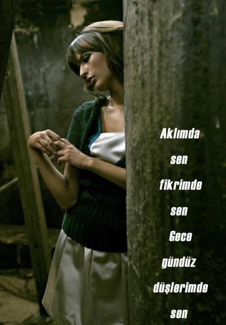 ŞİİR SEVER NİZİPLİLER BURAYA...