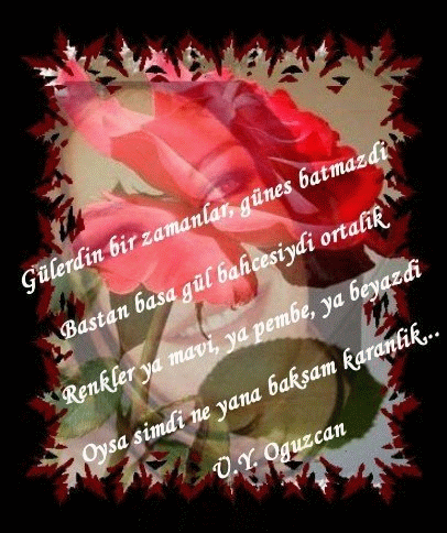 ŞİİR SEVER NİZİPLİLER BURAYA...