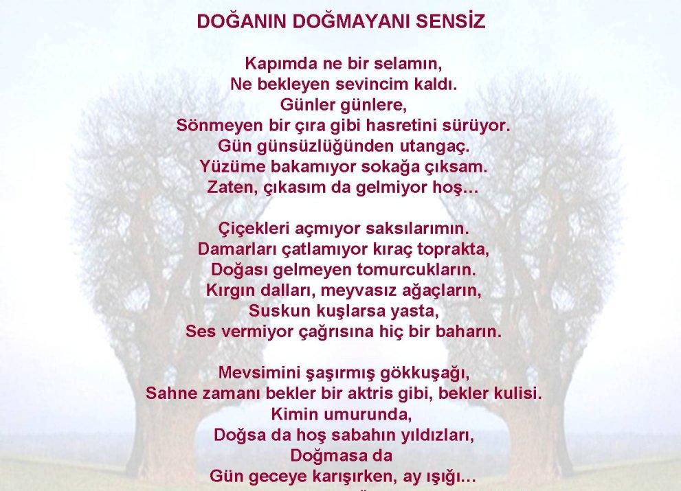 ŞİİR SEVER NİZİPLİLER BURAYA...