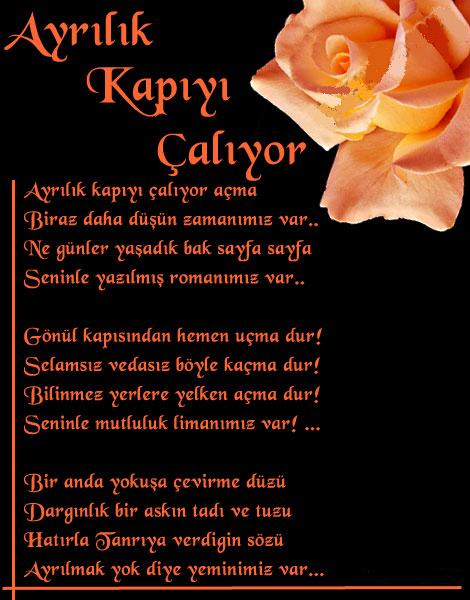 ŞİİR SEVER NİZİPLİLER BURAYA...