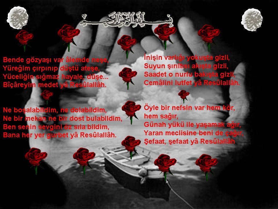 ŞİİR SEVER NİZİPLİLER BURAYA...