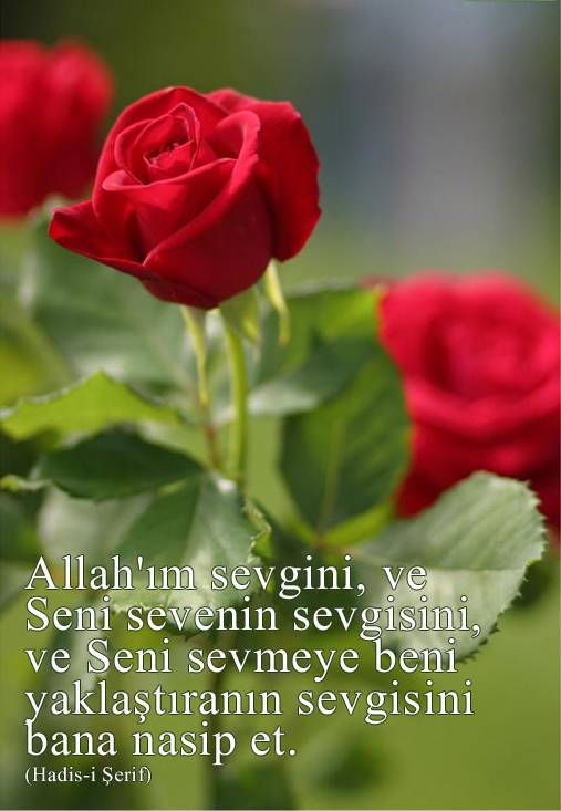 HADİS-İ ŞERİFLER BURAYA