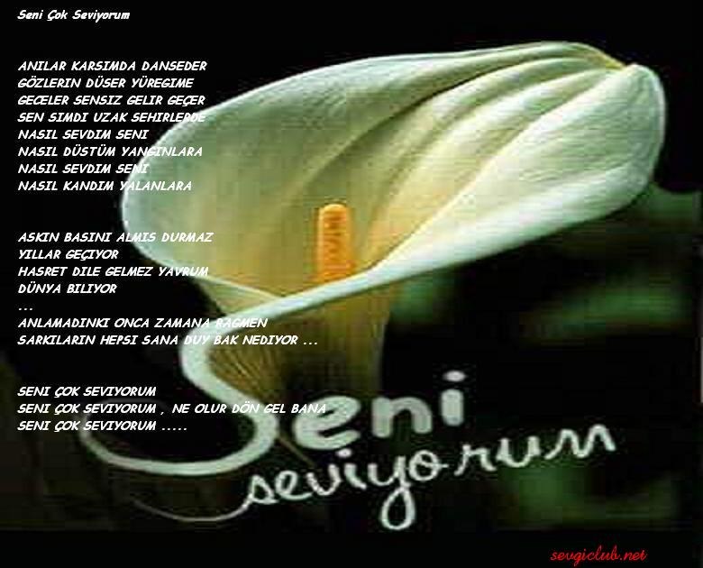 ŞİİR SEVER NİZİPLİLER BURAYA...