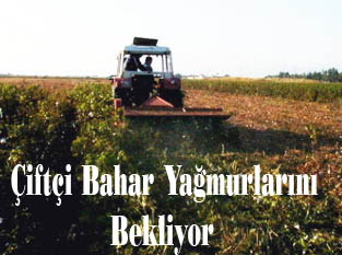 Çiftçinin umudu bahar yağmuru Çiftçinin umudu bahar yağmuru