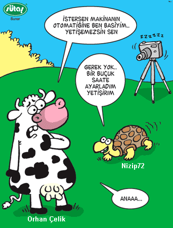 Sütaş karikatürleri Nizip.com'da Olursa.