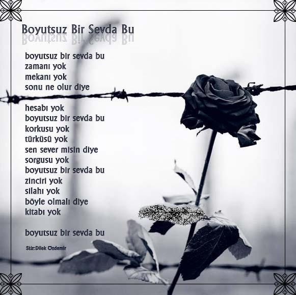 ŞİİR SEVER NİZİPLİLER BURAYA...