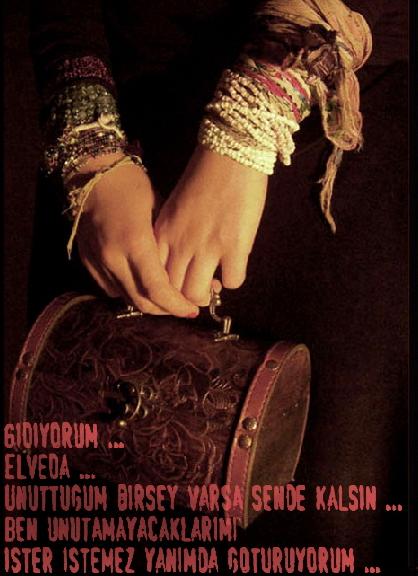 ŞİİR SEVER NİZİPLİLER BURAYA...
