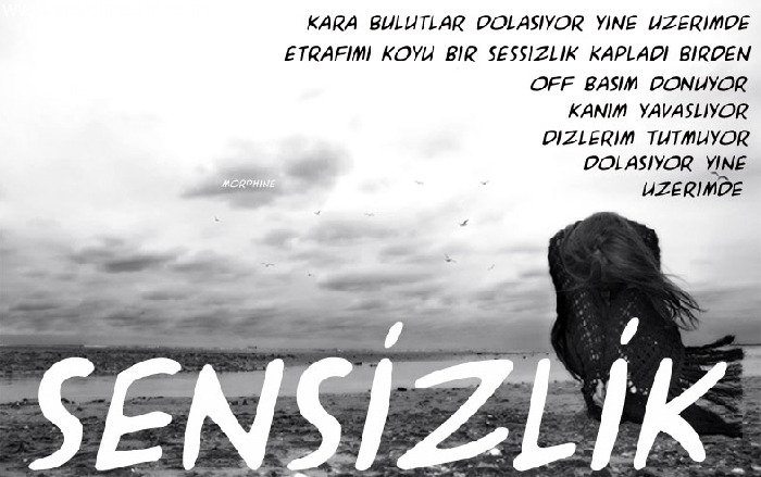 ŞİİR SEVER NİZİPLİLER BURAYA...