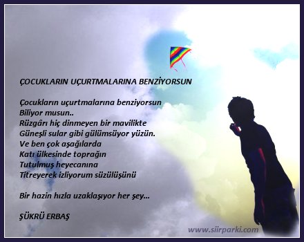 ŞİİR SEVER NİZİPLİLER BURAYA...