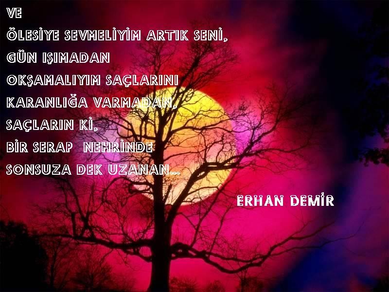 ŞİİR SEVER NİZİPLİLER BURAYA...