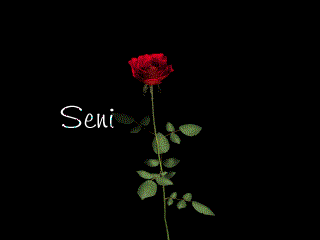 GÖNÜL BAHÇESİ
