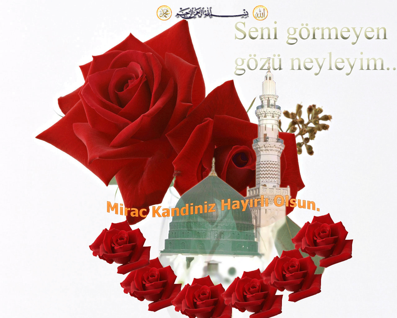 ŞİİR SEVER NİZİPLİLER BURAYA...