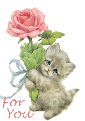 3 Gül --> 3 Üye
