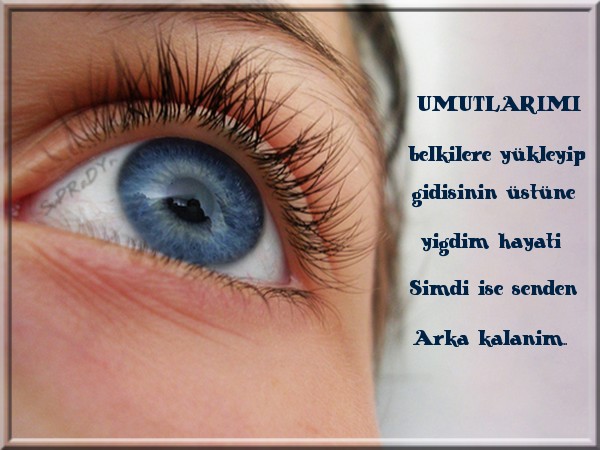 ŞİİR SEVER NİZİPLİLER BURAYA...