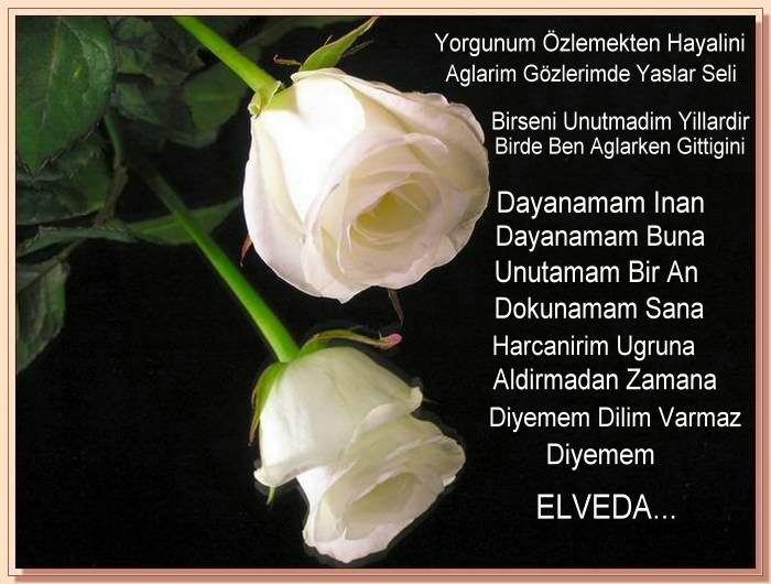 ŞİİR SEVER NİZİPLİLER BURAYA...
