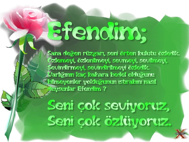 Bu gece,mübarek mevlid kandilidir.