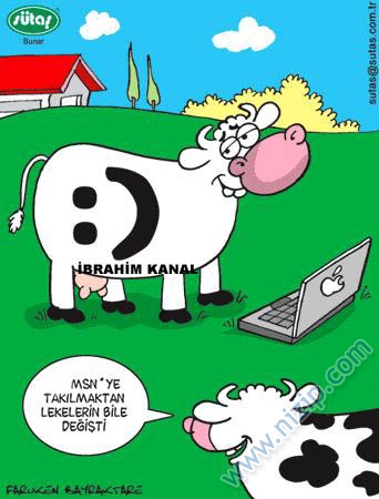 Sütaş karikatürleri Nizip.com'da Olursa.
