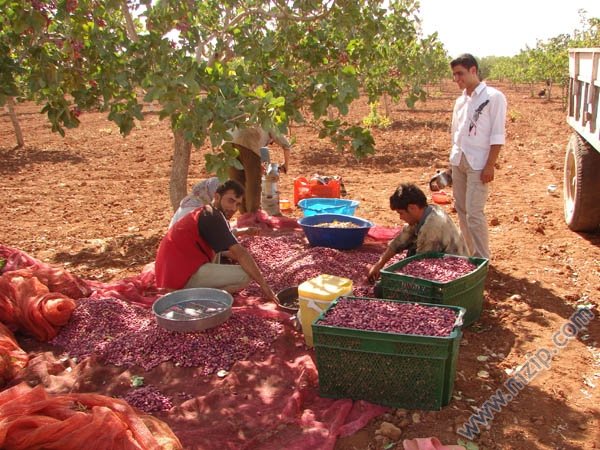 İlçemizden Cennet Manzaralarına Devam İlçemizden Cennet Manzaralarına Devam